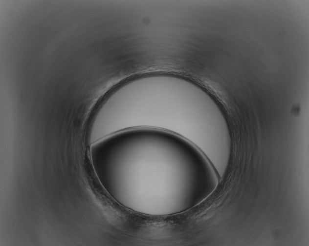 X0000091730540200708241046