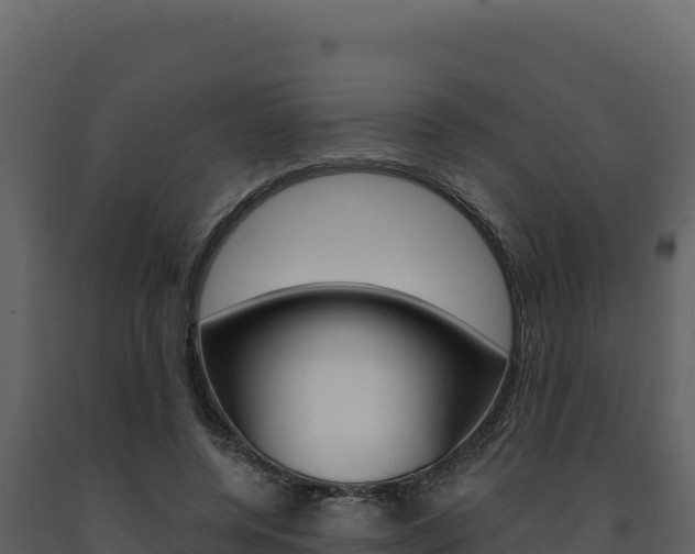X0000091730544200708241046