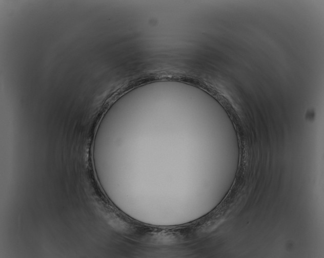 X0000091730545200708241046