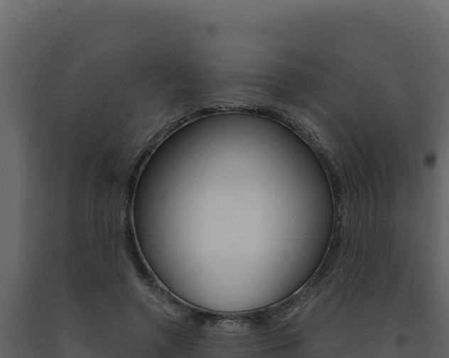X0000091730546200708241046