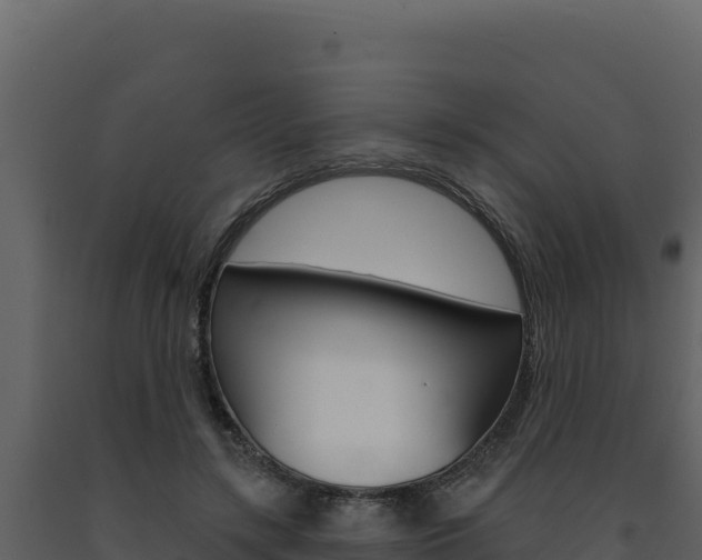 X0000091730547200708241046