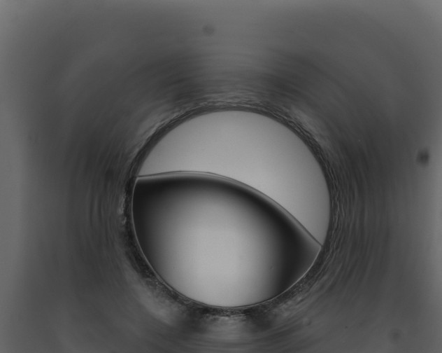 X0000091730548200708241046