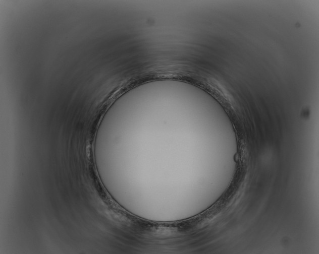 X0000091730549200708241046