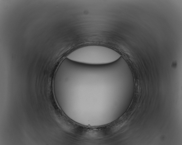 X0000091730550200708241046