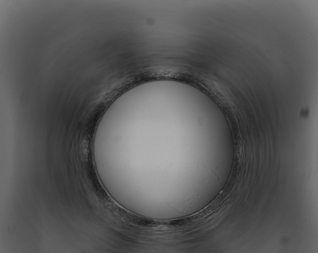 X0000091730551200708241046
