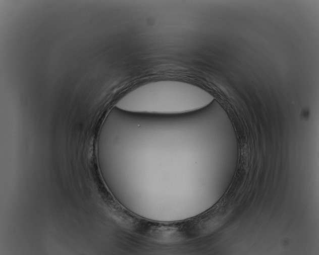 X0000091730554200708241046