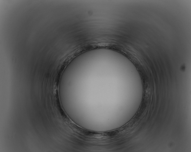 X0000091730555200708241046