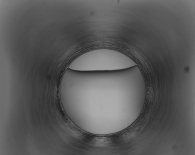 X0000091730557200708241046