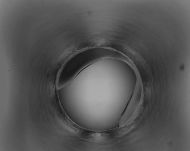 X0000091730558200708241046