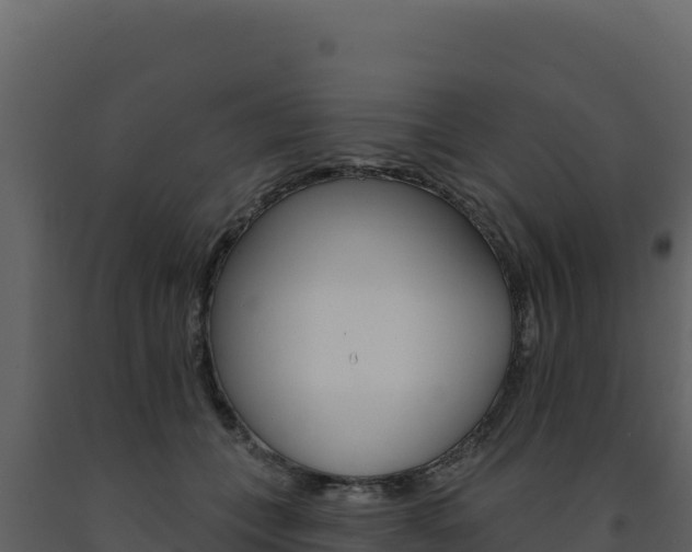 X0000091730559200708241046