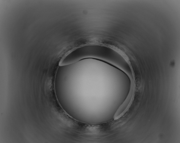 X0000091730560200708241046