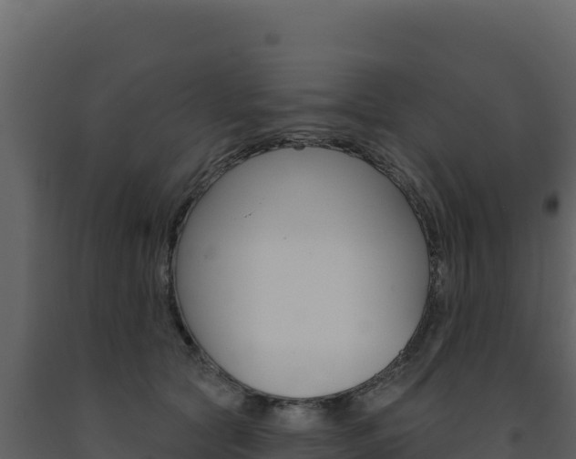 X0000091730561200708241046