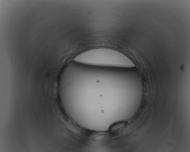 X0000091730563200708241046