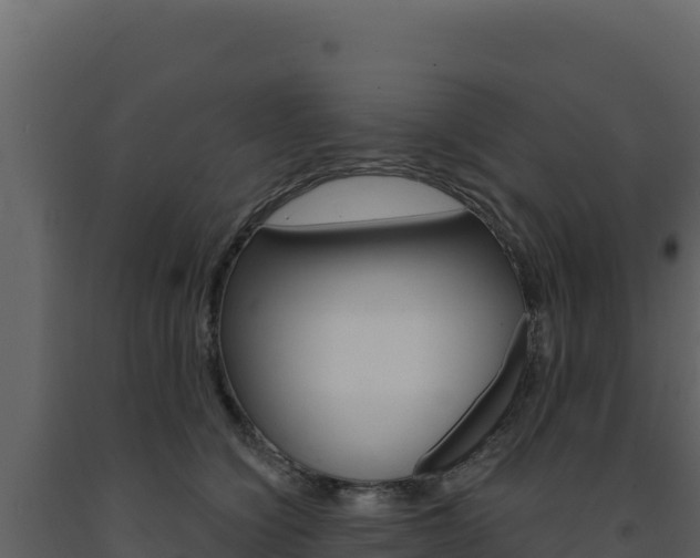 X0000091730564200708241046