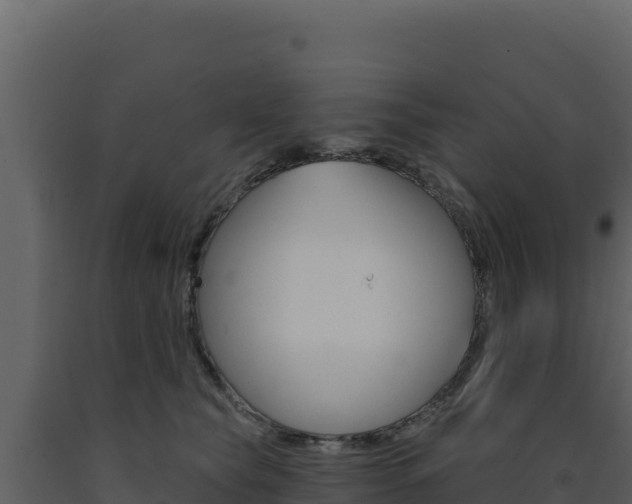 X0000091730565200708241046