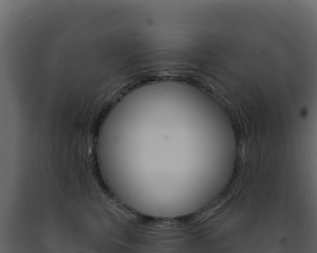 X0000091730567200708241046