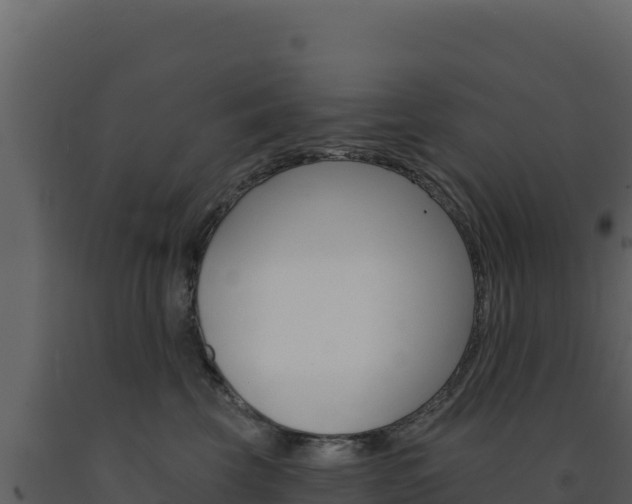 X0000091730569200708241046
