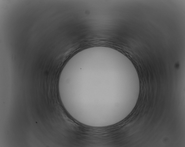 X0000091730570200708241047