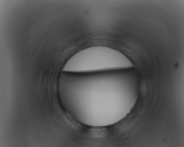 X0000091730571200708241047
