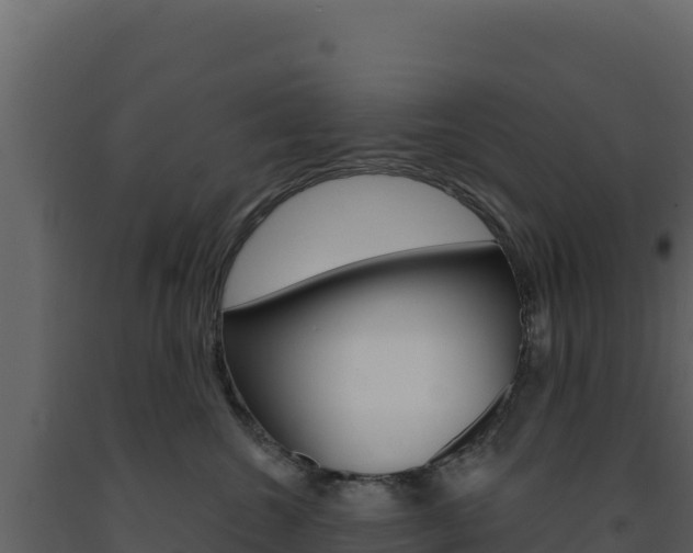 X0000091730572200708241047