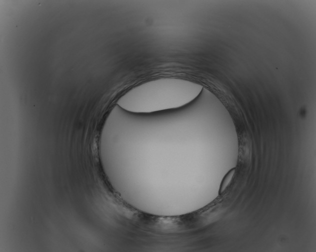 X0000091730573200708241047