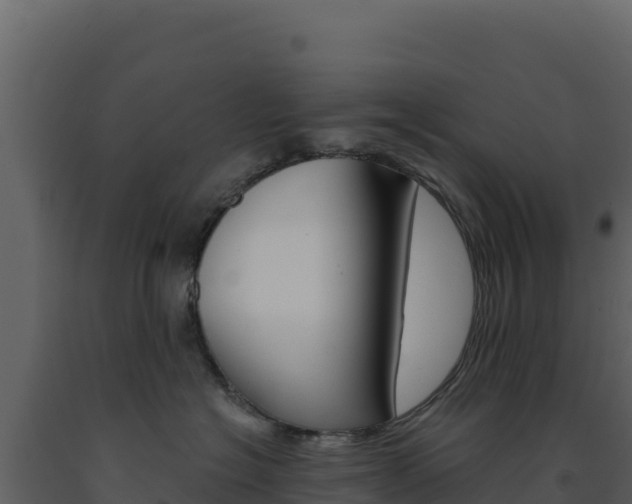 X0000091730574200708241047