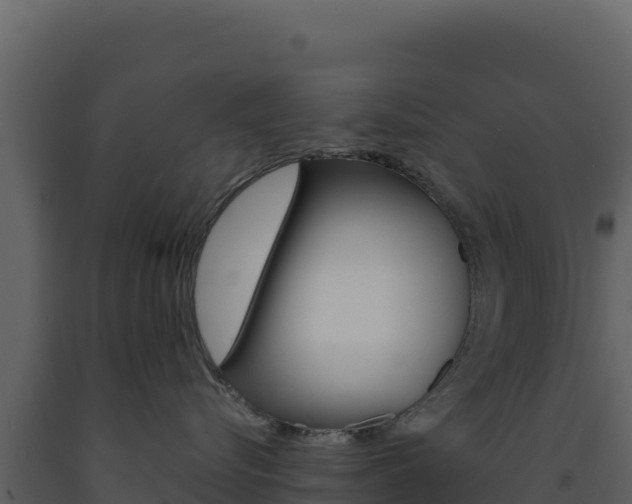 X0000091730576200708241047
