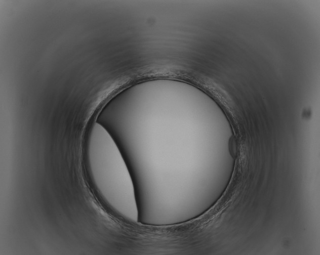 X0000091730578200708241046
