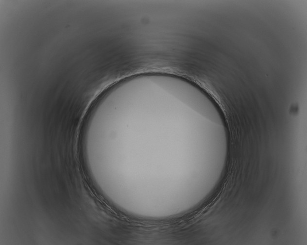 X0000091730579200708241046