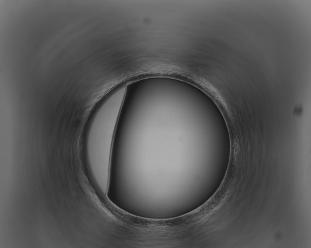 X0000091730581200708241046