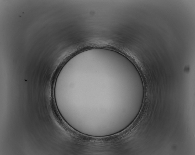 X0000091730582200708241046