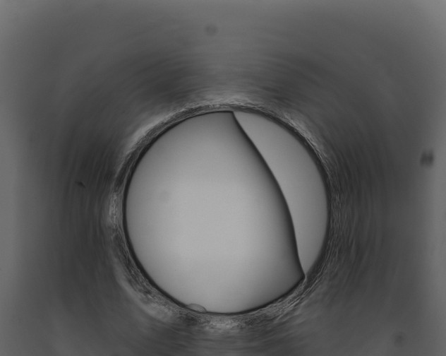 X0000091730583200708241046
