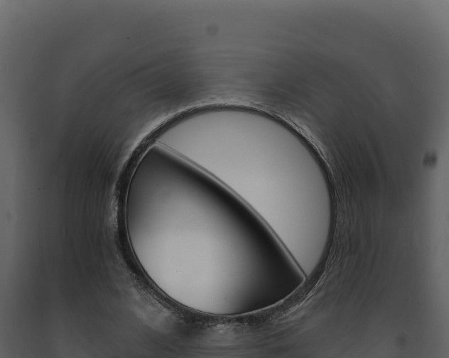 X0000091730584200708241046