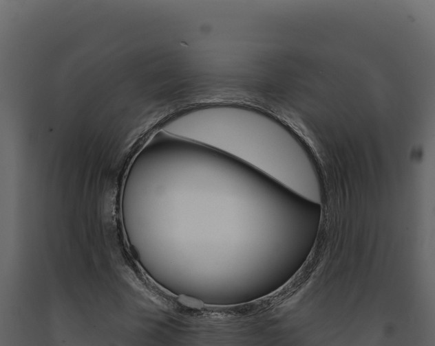 X0000091730585200708241046