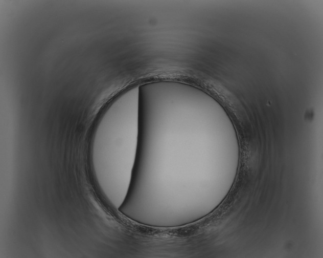 X0000091730586200708241046