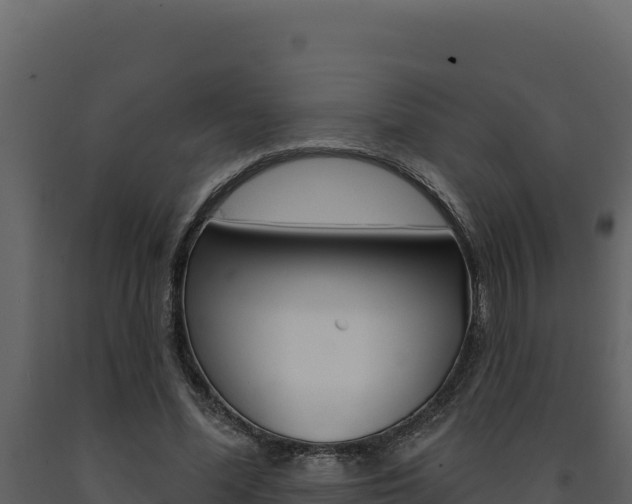 X0000091730588200708241046