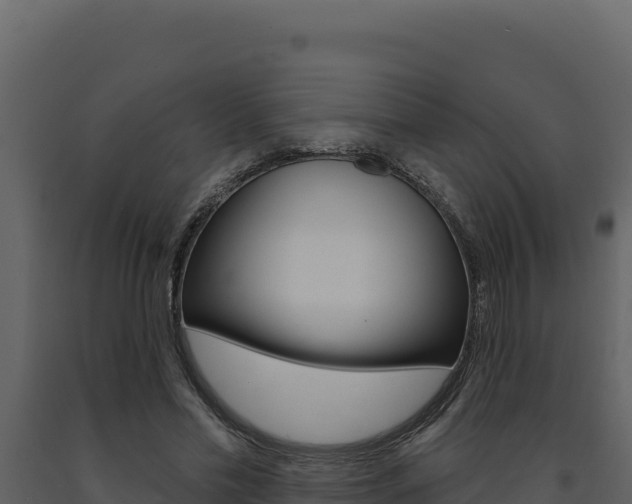 X0000091730589200708241046