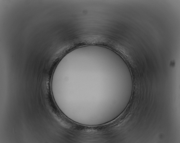 X0000091730590200708241046