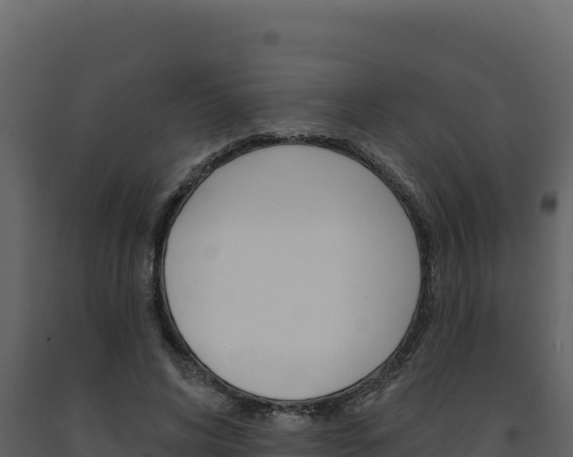X0000091730592200708241046