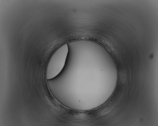 X0000091730594200708241046