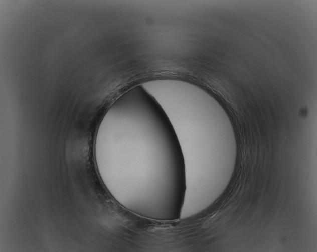 X0000091730595200708241046
