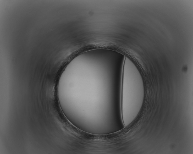 X0000091730596200708241046