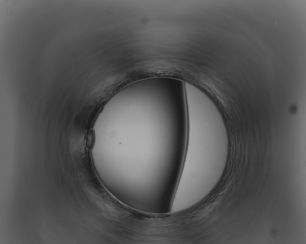 X0000091730597200708241046