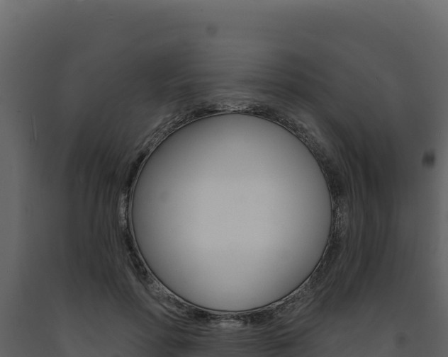 X0000091730598200708241046