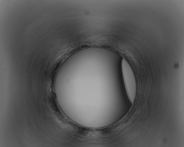 X0000091730599200708241046