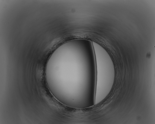 X0000091730600200708241046