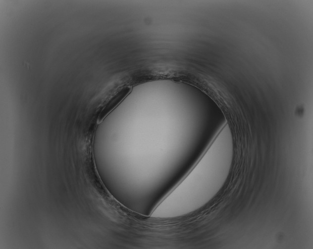 X0000091730601200708241046