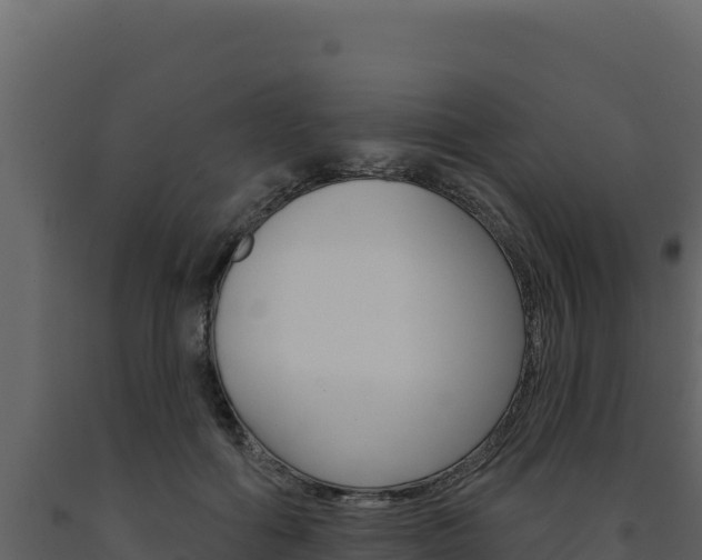 X0000091730602200708241046