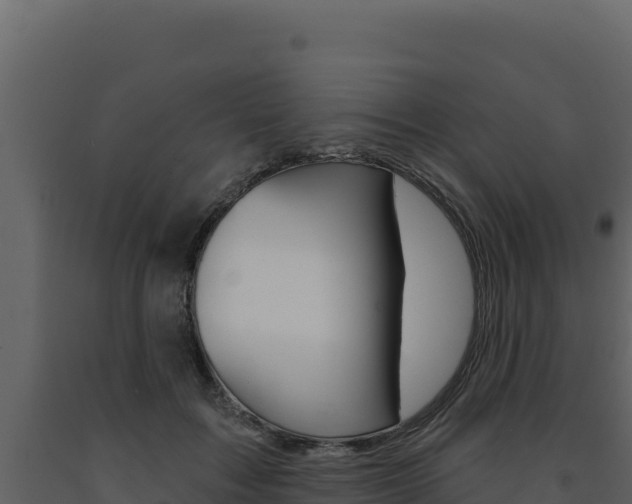 X0000091730603200708241046