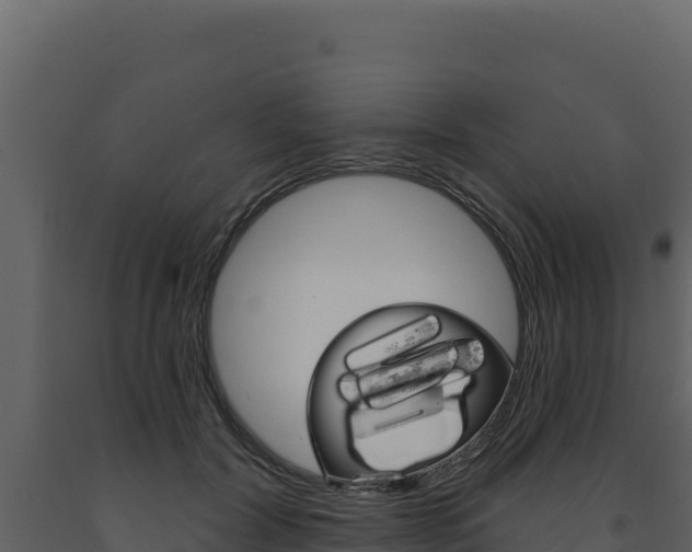 X0000091730604200708241046